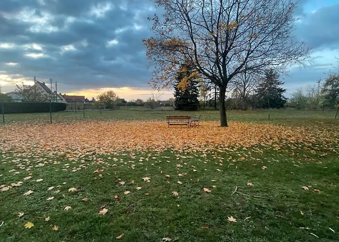 Appartamento Ruhige Zeithain